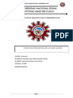 Informe 1 de Caminos I