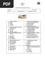 Prueba Papelucho Historiador