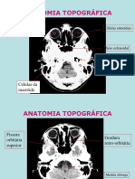 Anatomia