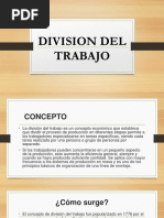 Division Del Trabajo