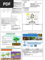 Naturaless Tema 3