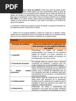 Informe Ejecutivo de Auditoria