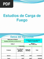 Carga de Fuego2