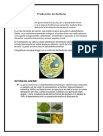 Informe Final Xantano 29junio2017