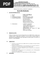 Plan de Trabajo de La Comisión Organizadora Distrital