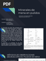 Introducción Mxs Mena Pulidos 1°clase Pulidos PDF