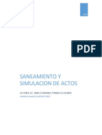 Saneamiento y Simulación