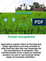 Agriculture