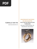 Problema de Tornillo Sin Fin