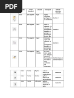 Trabajo de Word de Iconos