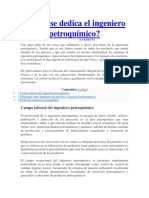 A Qué Se Dedica El Ingeniero Petroquímico