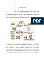 Métodos de Transformación Genética en Plantas