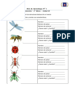 Guía N° 1 Insectos Clase 3