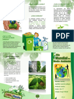 Triptico Del Dia Mundial Del Medio Ambiente