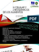 Nutrición Celular y Aspectos Bioquímicos de Los Alimentos - Present. Conceptos Basicos