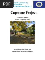 Capstone