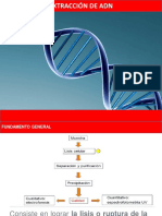 Extraccion de Adn