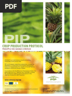 Crop Production Protocol