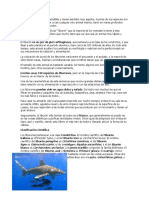 Los Tiburones Son Peces Versátiles y Tienen Sentidos Muy Agudos