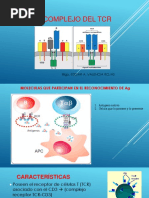 Complejo Del TCR