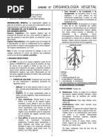 Unidad 07 Organologia Vegetal