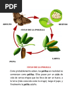 Ciclo de La Polilla