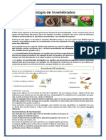 Folleto Zoología de Invertebrados 3º Curso Inaes 2019