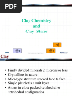 Clay Chemistry State