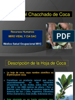 Efectos Del Chacchado de Coca