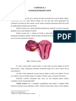 Chist Ovarian Corect PDF