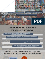 Derechos Pueblos Indígenas en Perú 