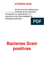 Bacterias Gram Positivas