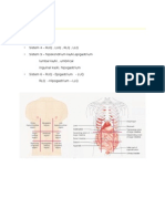 Anatomi Histologi Fisiologi