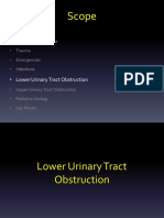 Lower Urinary Tract Obstruction