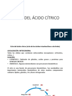 Ciclo Del Ácido Cítrico