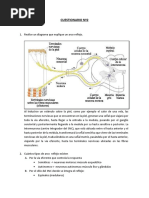 CUESTIONARIO-Nº2 (Recuperado Automáticamente)