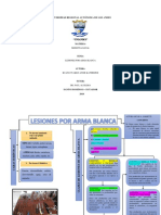 Lesiones Por Arma Blanca