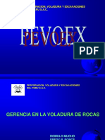 GM Pevoex