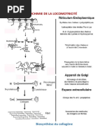 Biochimie Locomotricite