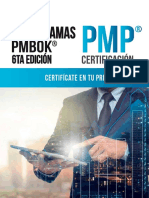 Guia Flujogramas Del Pmbok 6 Cgi