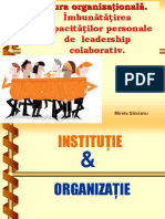 Cultura Organizationala