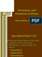 Structures and Functions in Plants: Roots, Stems, and Leaves