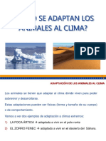 Adaptación de Animales Al Clima - Sociales