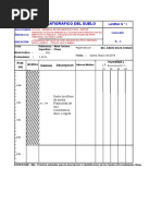 Perfil Estratigrafico Comisarias