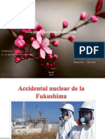 Accidentul Nuclear de La Fukushima