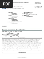 FAO Fisheries & Aquaculture - Programa de Información de Especies Acuáticas - Rachycentron Canadum (Linnaeus, 1766) PDF