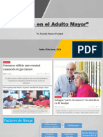 Seminario - Suicidio en El Adulto Mayor