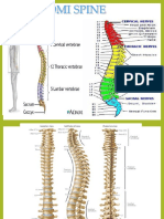 RM - DD LBP