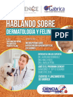 Dermatologia y Felinos