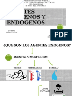 Agentes Exogenos y Endogenos